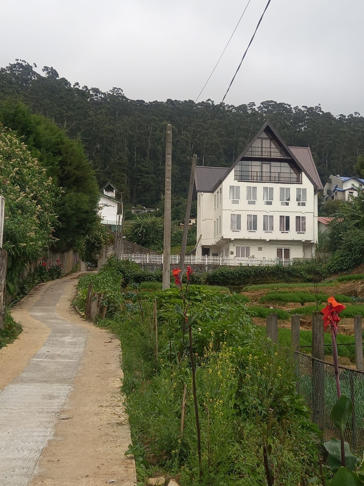 House from the lane
