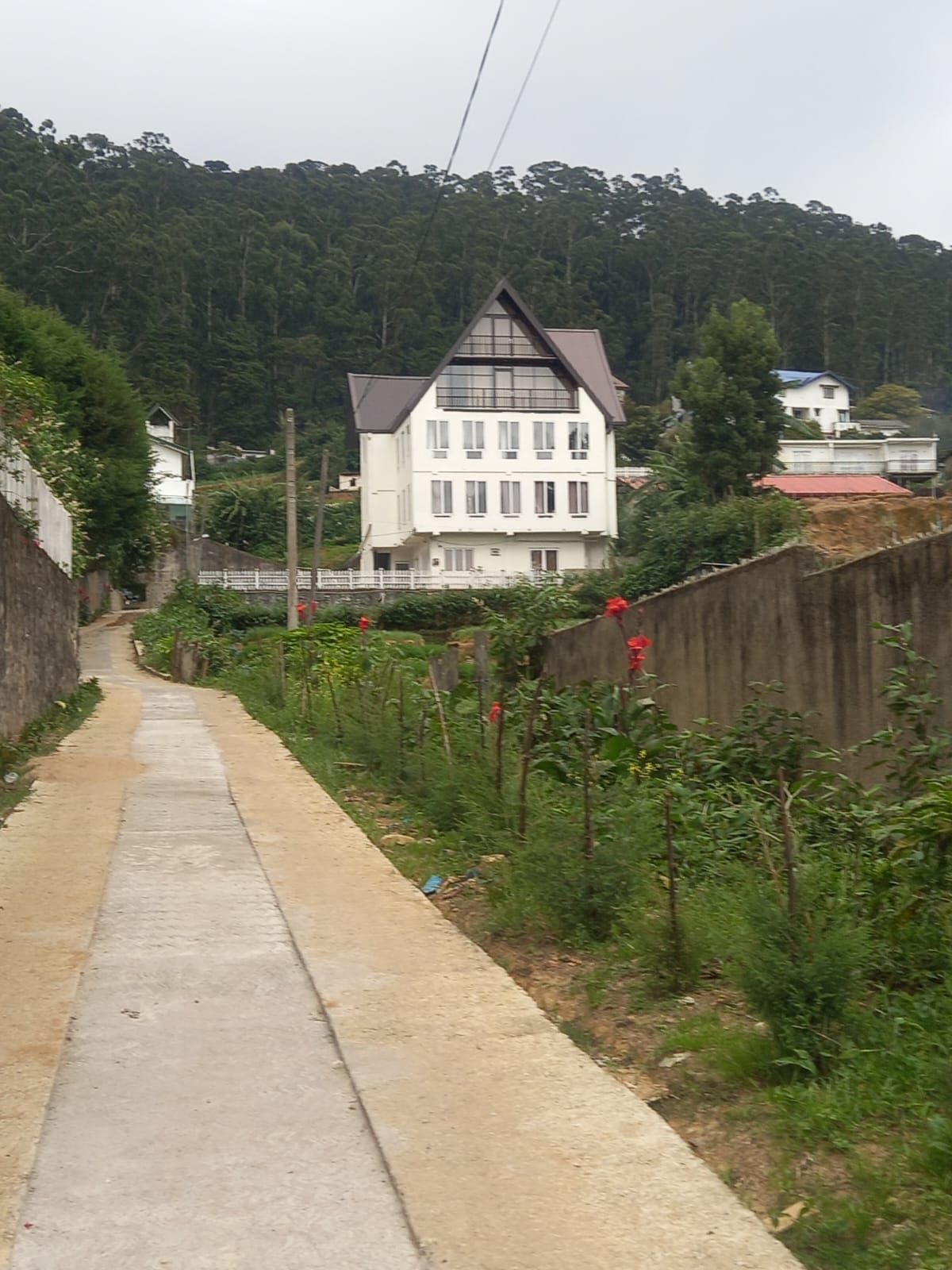 Path with the house ahead
